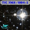TYC 3968-1004-1