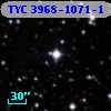 TYC 3968-1071-1