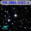 TYC 3968-1262-1