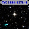 TYC 3968-1273-1