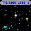 TYC 3968-1686-1