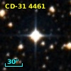 CD-31  4461