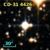CD-31  4426