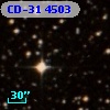 CD-31  4503