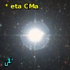 V* eta CMa