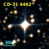 CD-31  4462