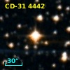CD-31  4442