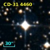 CD-31  4460