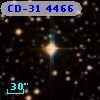 CD-31  4466