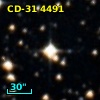 CD-31  4491