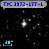 TYC 3972-177-1