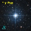 * y Pup