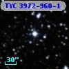 TYC 3972-960-1