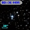 BD+36  4498