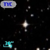 TYC 7651-1919-1