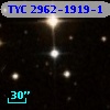 TYC 2962-1919-1