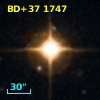 BD+37  1747