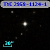TYC 2958-1124-1