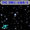 TYC 3982-1169-1