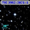 TYC 3982-2021-1