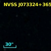 NVSS J073324+365004