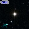 NSV 17530