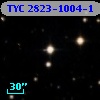 TYC 2823-1004-1