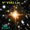 V* V341 Lac