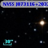 NVSS J073116+203227