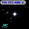 TYC  772-608-1