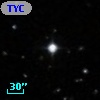 TYC  786-621-1
