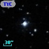 TYC  786-709-1
