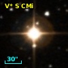 V* S CMi