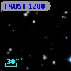 FAUST 1200