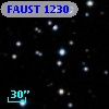 FAUST 1230