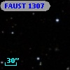 FAUST 1307