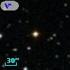V* RR CMi