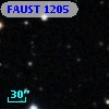 FAUST 1205