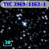 TYC 3969-1163-1