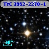 TYC 3982-2270-1