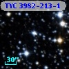 TYC 3982-213-1