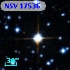 NSV 17536