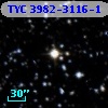 TYC 3982-3116-1