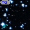 TXS 0731-010