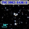 TYC 3982-1436-1