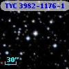 TYC 3982-1176-1