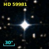 HD  59981