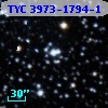 TYC 3973-1794-1