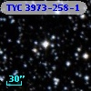 TYC 3973-258-1