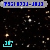 [P85] 0731-1013
